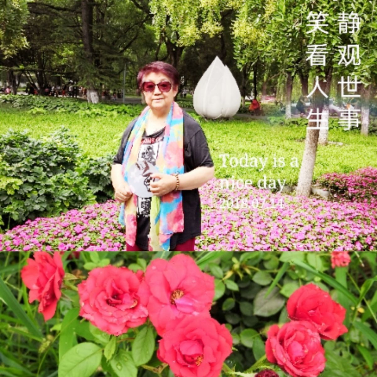 苏紫宸北冥渊全本免费阅读_苏双_苏州天气