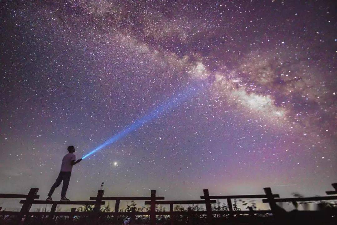 星斗大森林真正的霸主_星斗大森林_星斗大森林十大凶兽排行榜