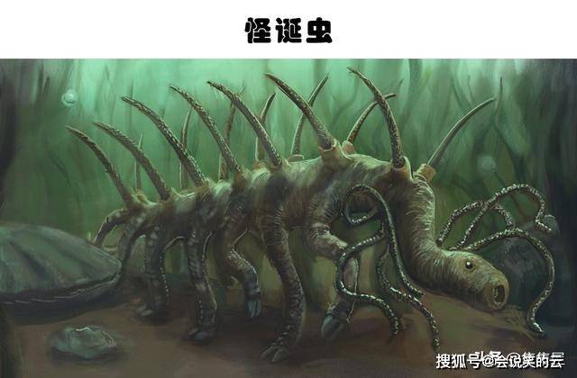 我和我的怪物朋友_怪物朋友_奇妙怪物朋友