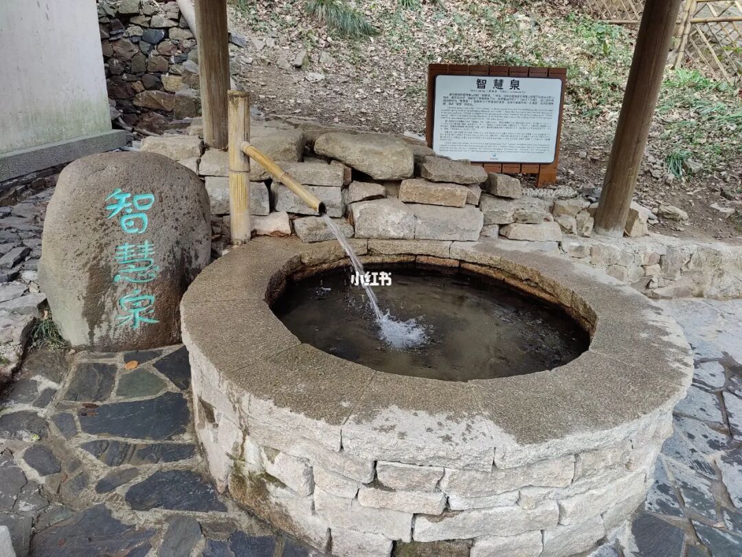 少泽穴足三里穴乳根穴_太溪穴和照海穴_秘穴