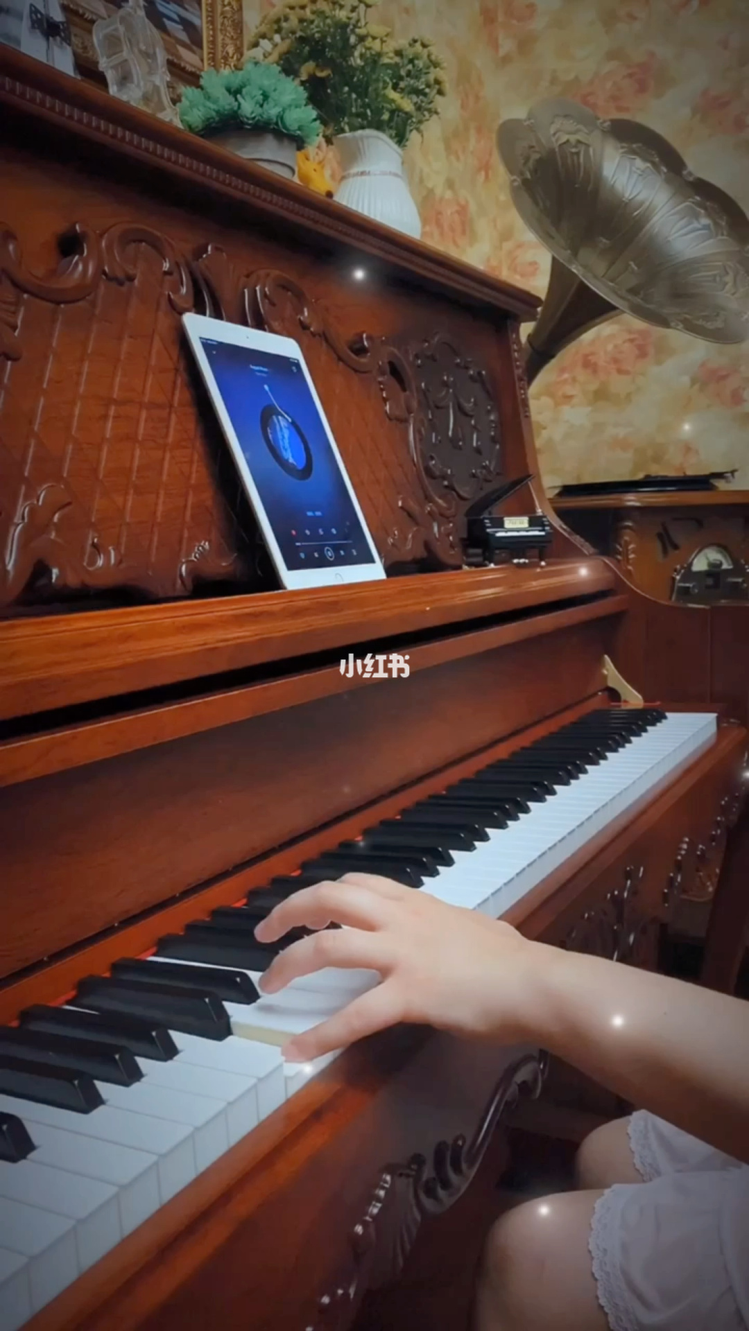林之灵_林之灵加点_林之灵