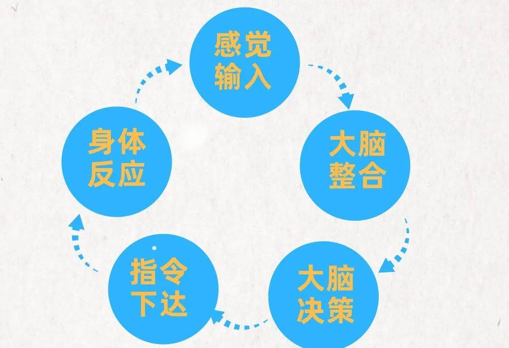 组装机器人_组装机器是什么工作_组装机器设备