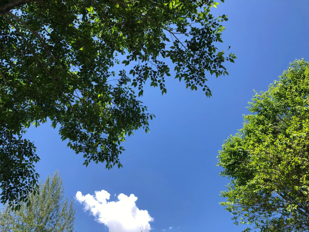 清风壁纸小程序_清风壁纸_清风壁纸下载