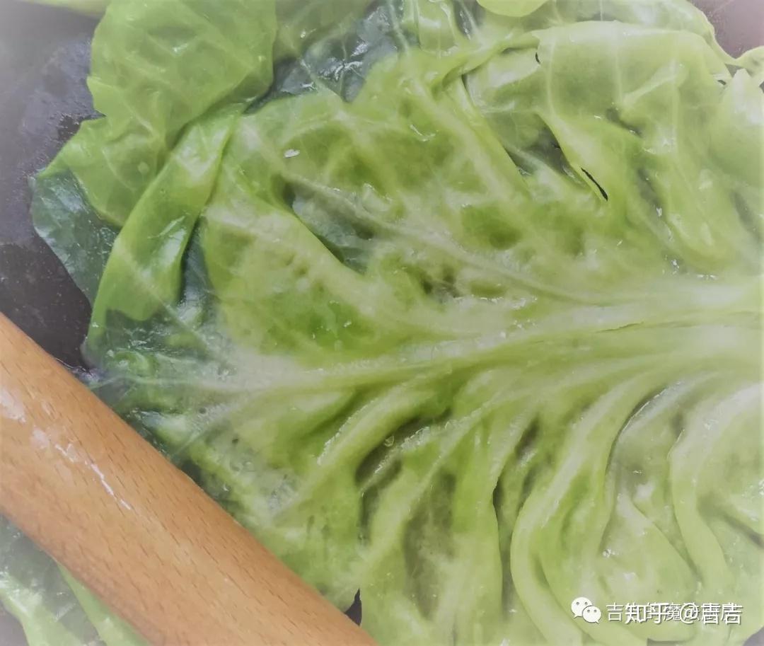 卷心菜投手和豌豆射手谁厉害_卷心菜投手_卷心菜投手简笔画