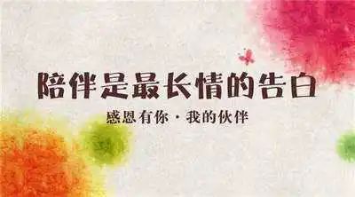 顾偶_顾芒陆承洲免费阅读_顾祝同