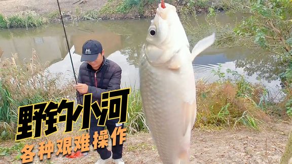 正版星力打渔_星力打鱼_星力正版打鱼平台渔乐汇