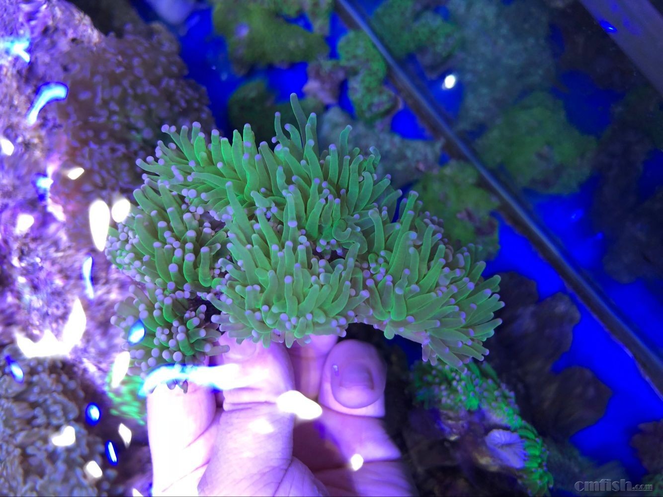 昆州在哪_昆州在哪里属于哪个省_昆州
