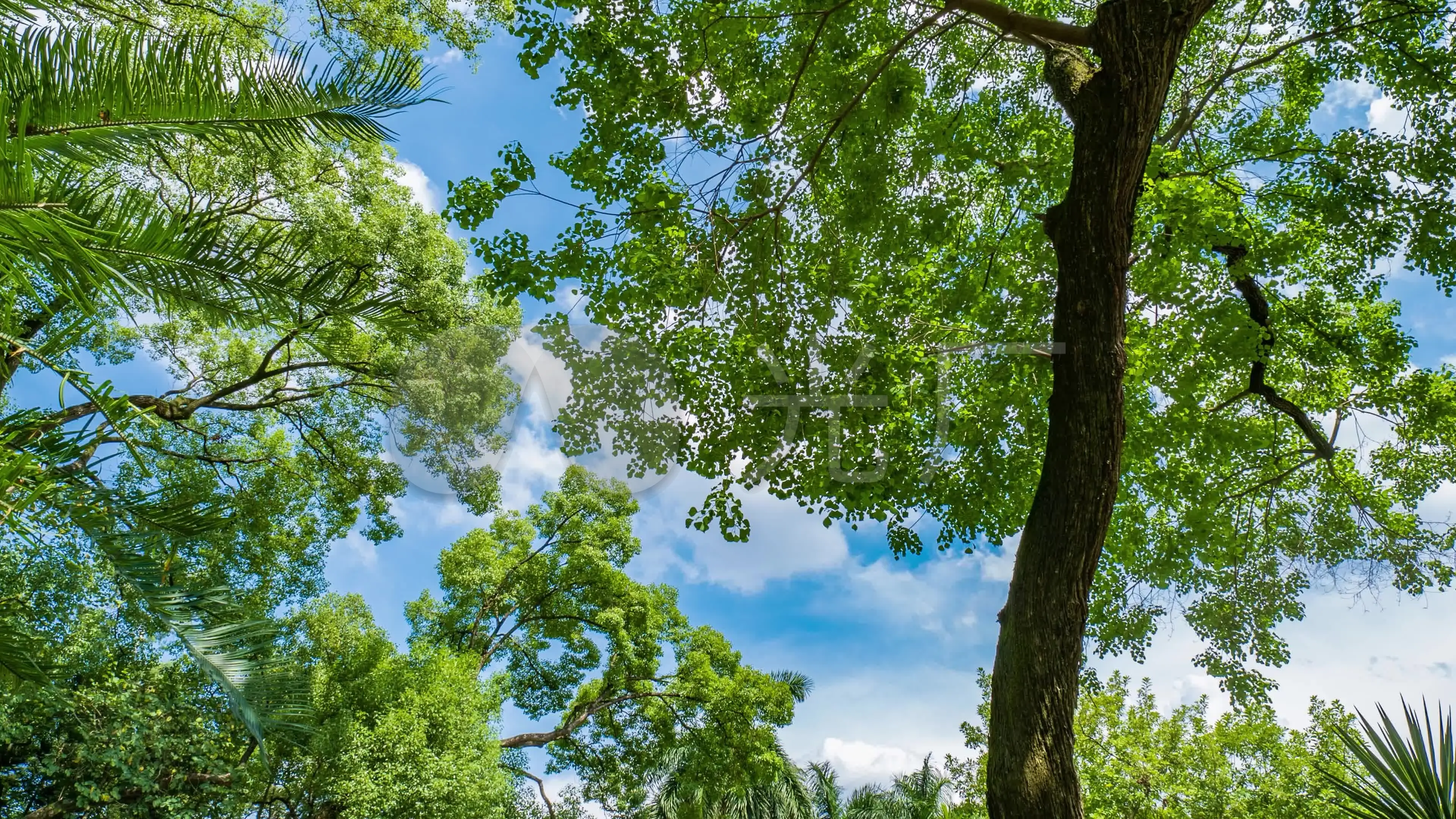世界夏季气温分布图_我的世界夏季版_世界夏季版下载