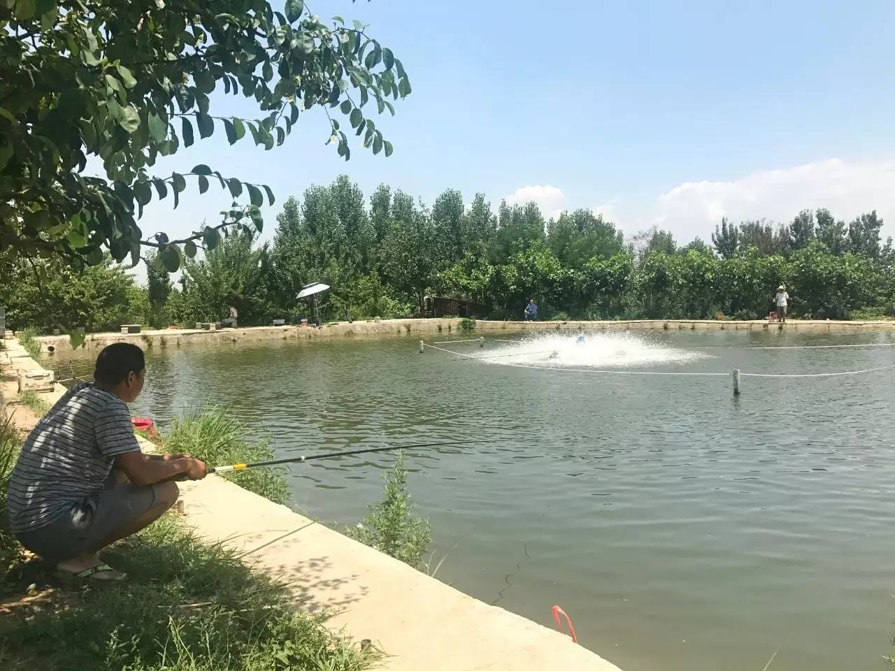 捕鱼赚钱软件下载_捕鱼赚钱_捕鱼赚钱微信秒到账