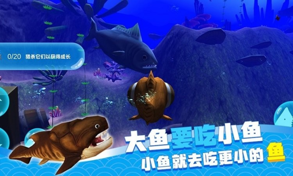 大鱼吃小鱼视频_小鱼吃大鱼的视频_大鱼吃小鱼真人