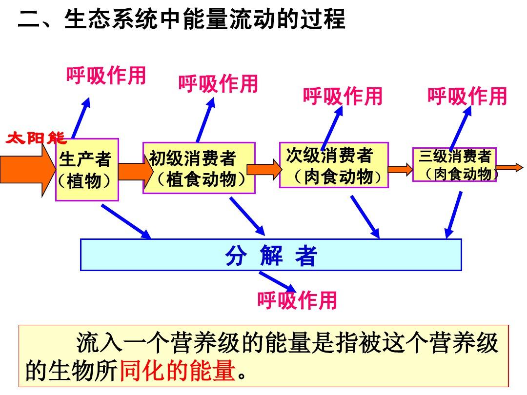 修炼斗战神入定的小说_斗战神怎么入定修炼_斗战神入定道具是啥啊