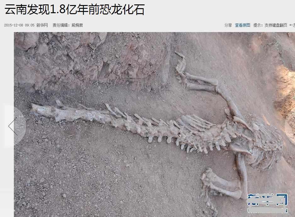猎人恐龙消消乐_恐龙猎人_猎人恐龙宝宝在哪抓