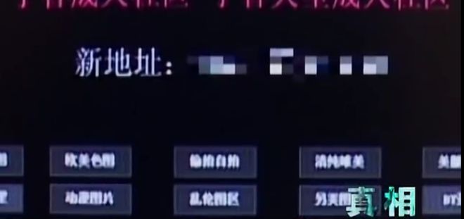 搞黄软件._搞黄软件._搞黄软件.