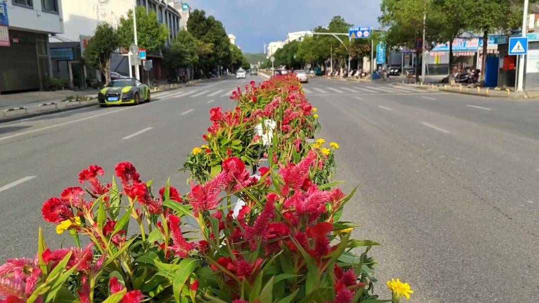 花间app_花间app_花间app