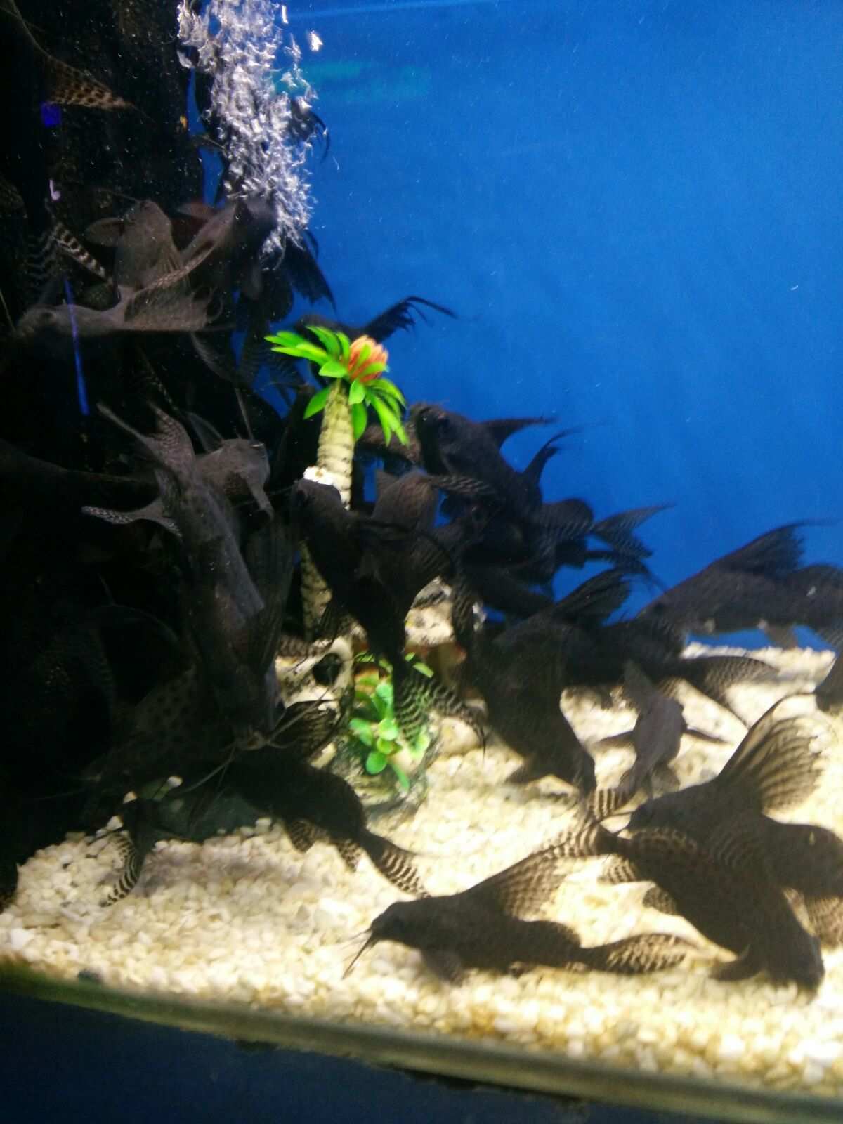 米加小镇海洋馆和邮局下载_小镇邮箱_小镇的海