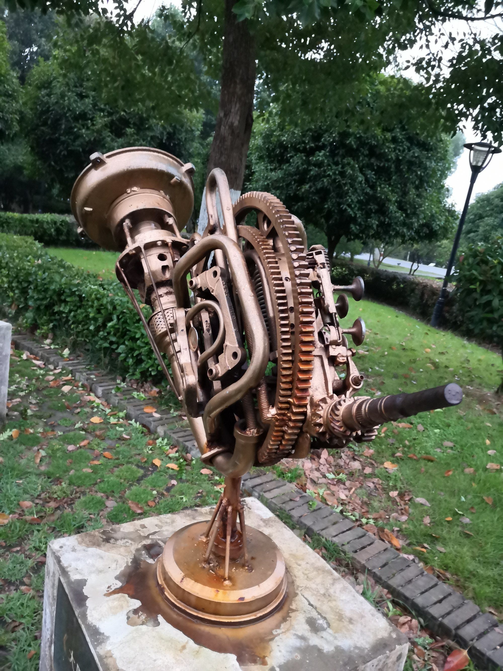 锈钢龙和钢龙_锈钢龙武器_锈钢龙