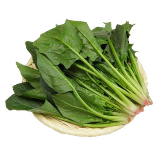 菠菜家园_菠菜家园拍的作品_菠菜菜园