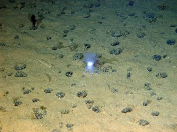深海迷航零度之下最新剧情_深海零度下迷航怎么开_深海迷航2零度之下