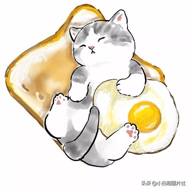 我的朋友很少同人志虎虎漫画_虎虎漫画设计代理_虎虎漫画