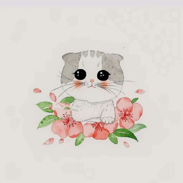 我的朋友很少同人志虎虎漫画_虎虎漫画_虎虎漫画设计代理
