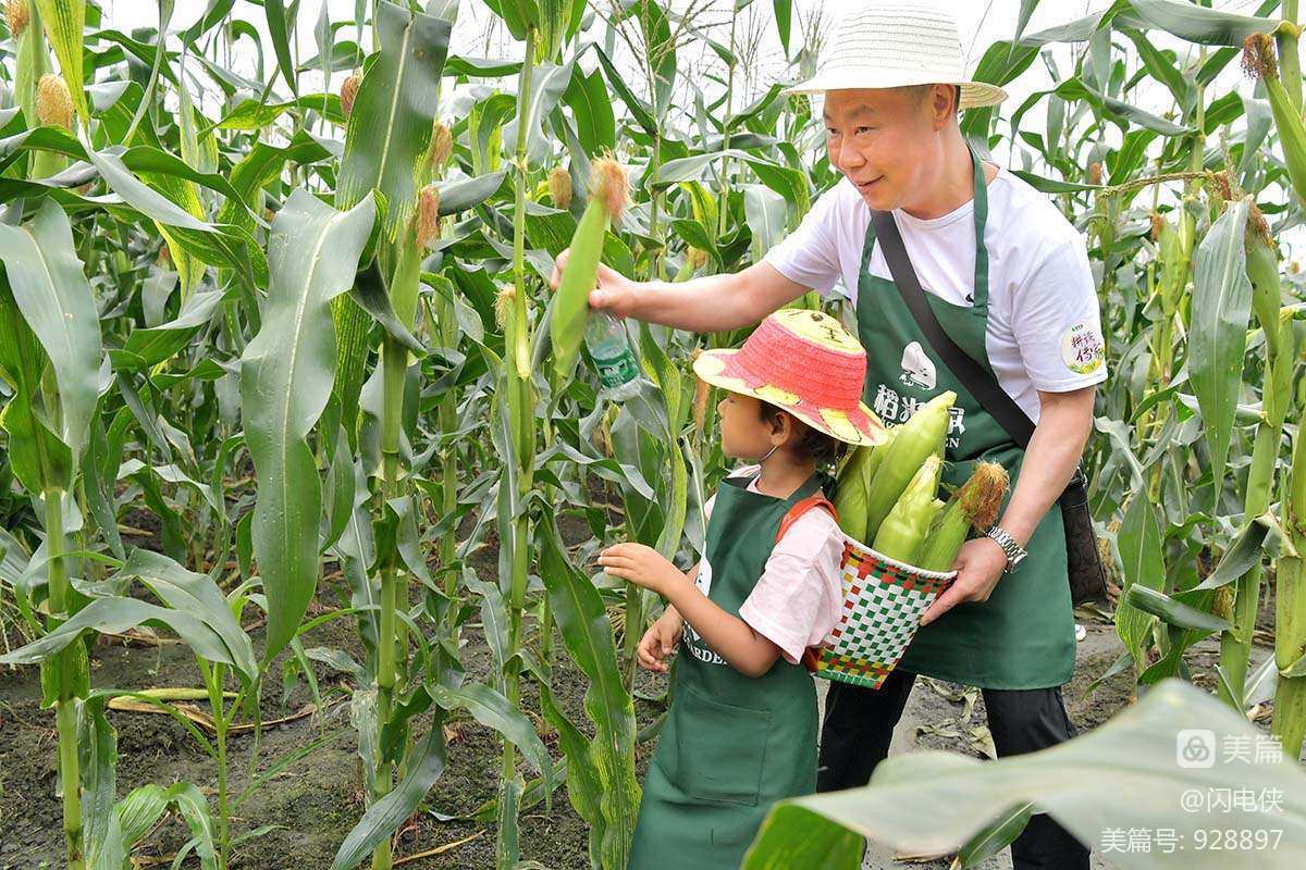 农场开心派对_开心农场2_农场开心主