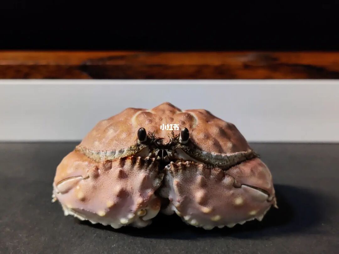 盾蟹的极小壳在哪出_盾蟹弱什么属性_盾蟹