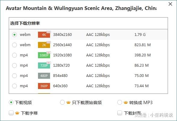 视频追风下载安装手机版_视频追风下载安装免费_追风视频下载安装
