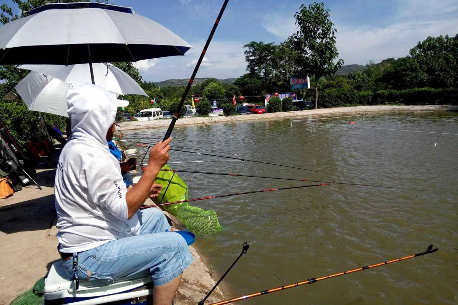 钓鱼下载什么软件好_专业钓鱼下载_天天钓鱼下载
