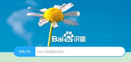 百度识图网页版式_百度识图网页版入口_百度识图网页网址