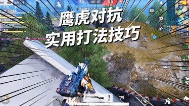 荒野行动鹰虎对抗手机游戏_荒野行动鹰虎对抗在哪里玩_荒野行动鹰眼不就好棒棒