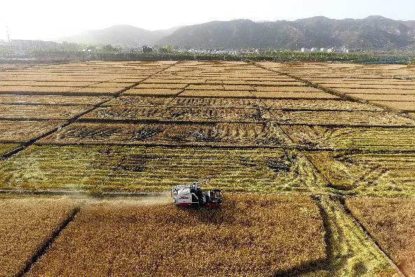 建设类单机游戏手机_单机建造类手机游戏_单机类建设手机游戏排行
