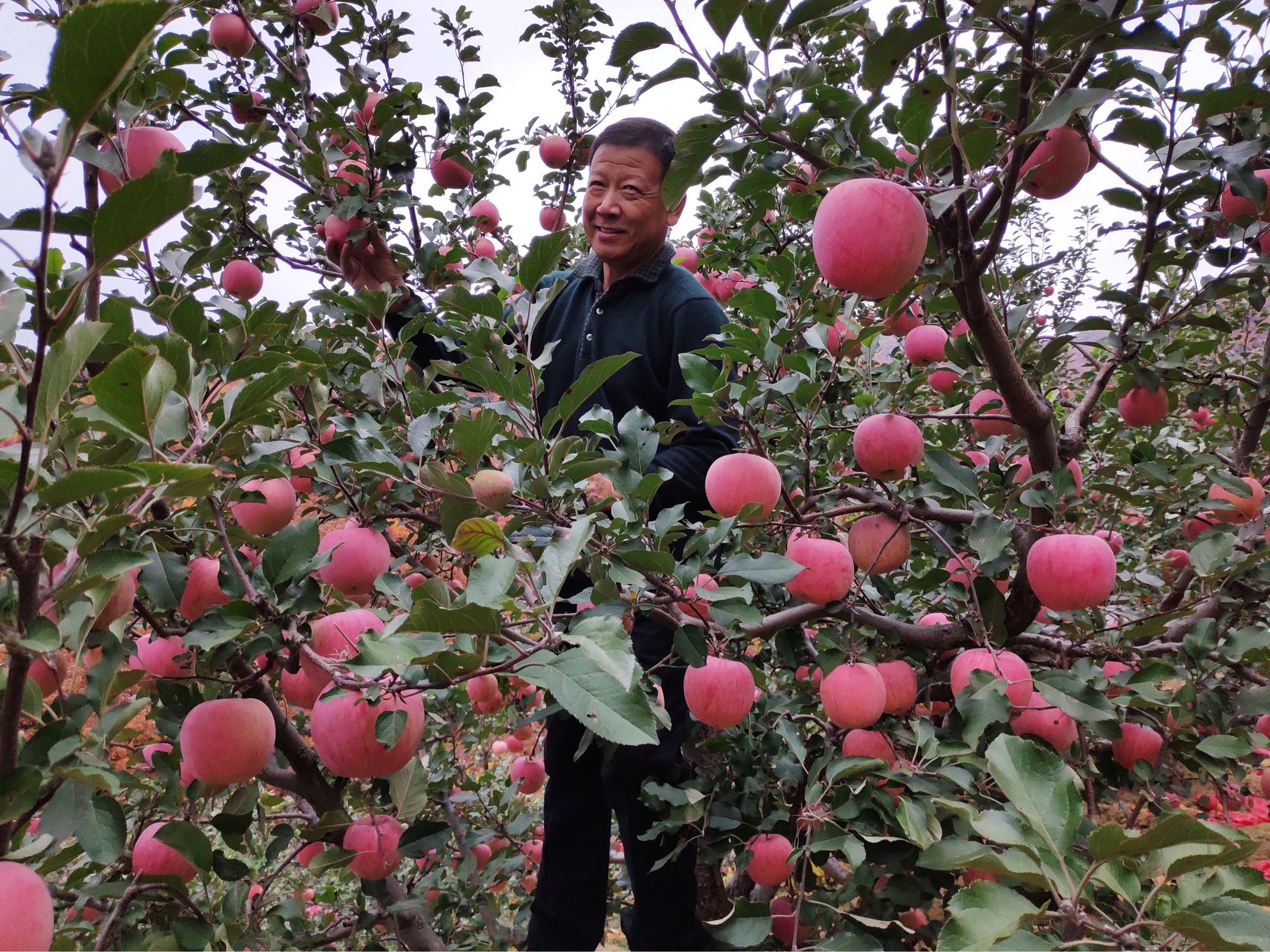 早年苹果手机游戏_早期苹果手机游戏_早年苹果手机游戏叫什么