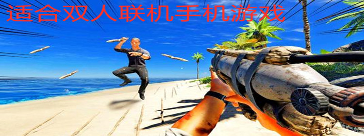 联机打的游戏手机游戏_联机游戏有多少手机版本_联机版本手机游戏有什么
