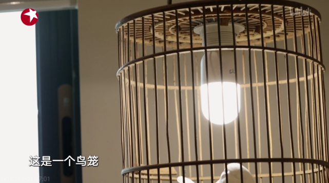 鸟笼婚姻游戏手机_鸟笼婚姻游戏手机汉化版百度云_鸟笼婚姻游戏