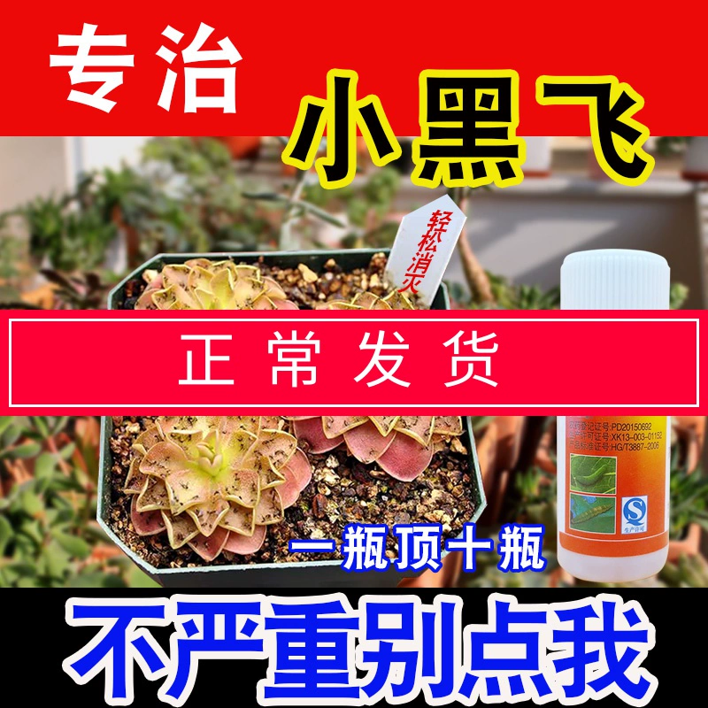 黑鲨手机玩游戏电话进来没铃声_黑鲨手机游戏内接电话_黑鲨手机玩游戏接不了电话