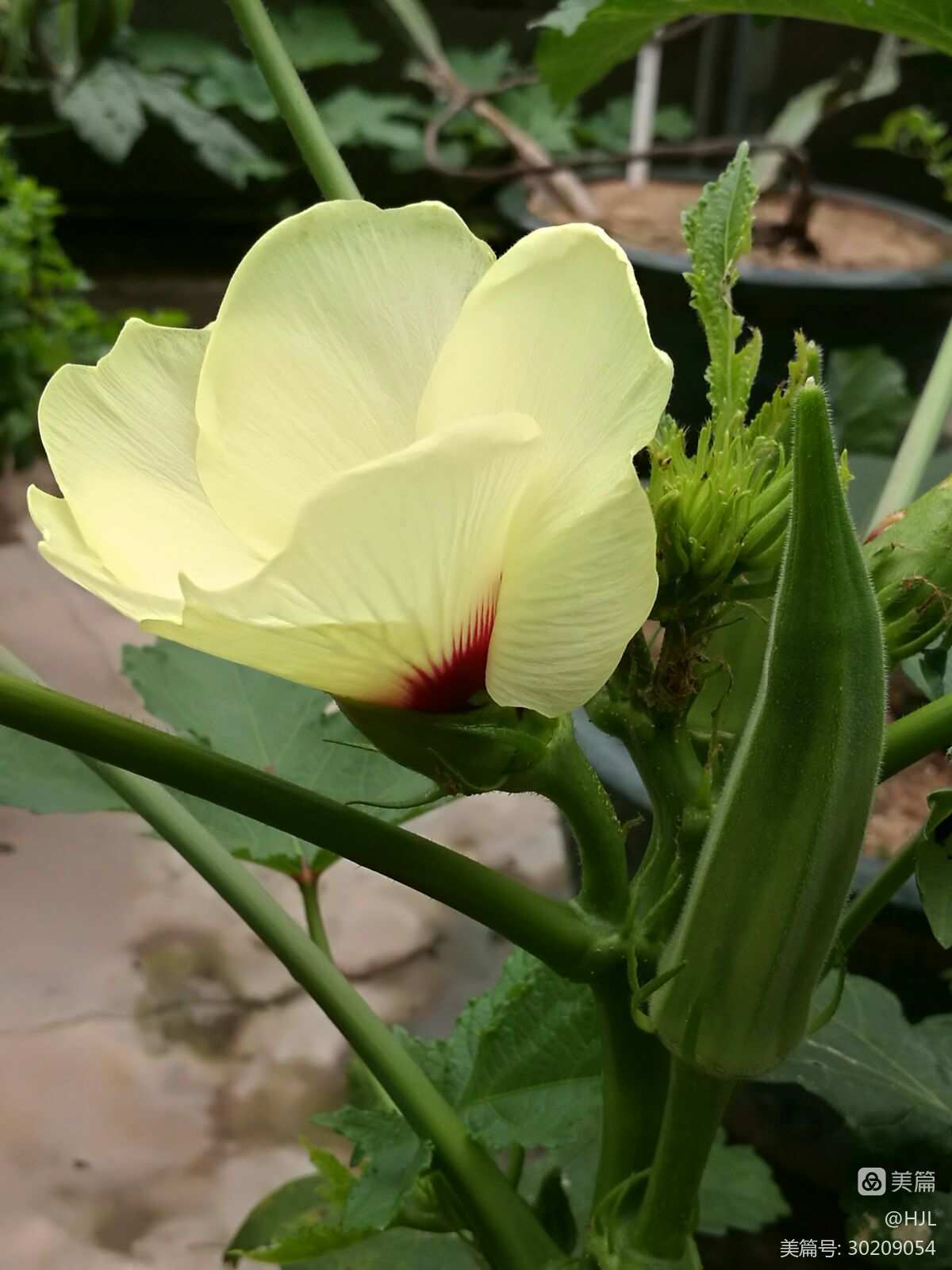 秋葵app下载秋葵官网免费软件_秋葵app下载秋葵官网免费软件_秋葵app下载秋葵官网免费软件