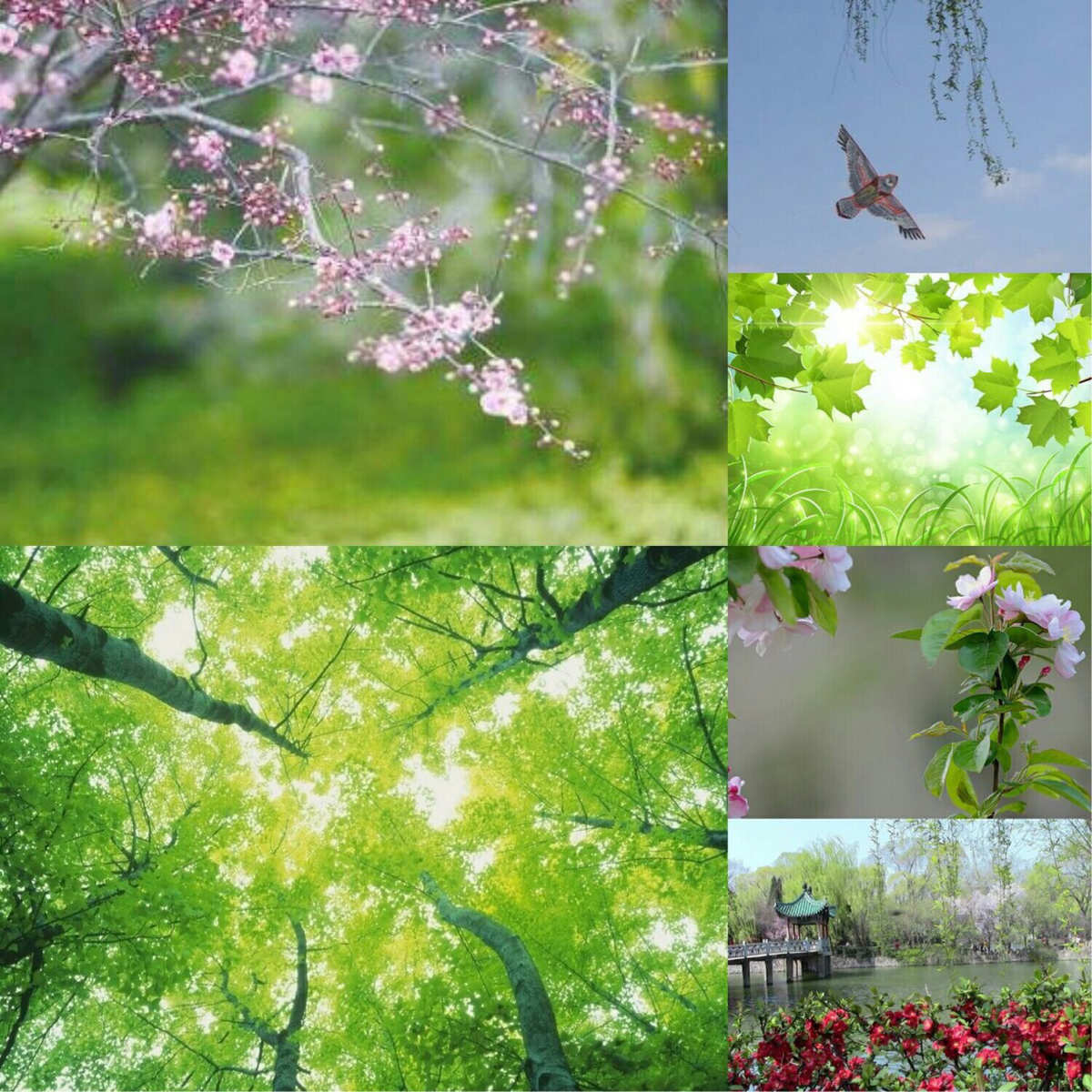 哈尼十月年_2024年是不是闰月年_2022年3月23日