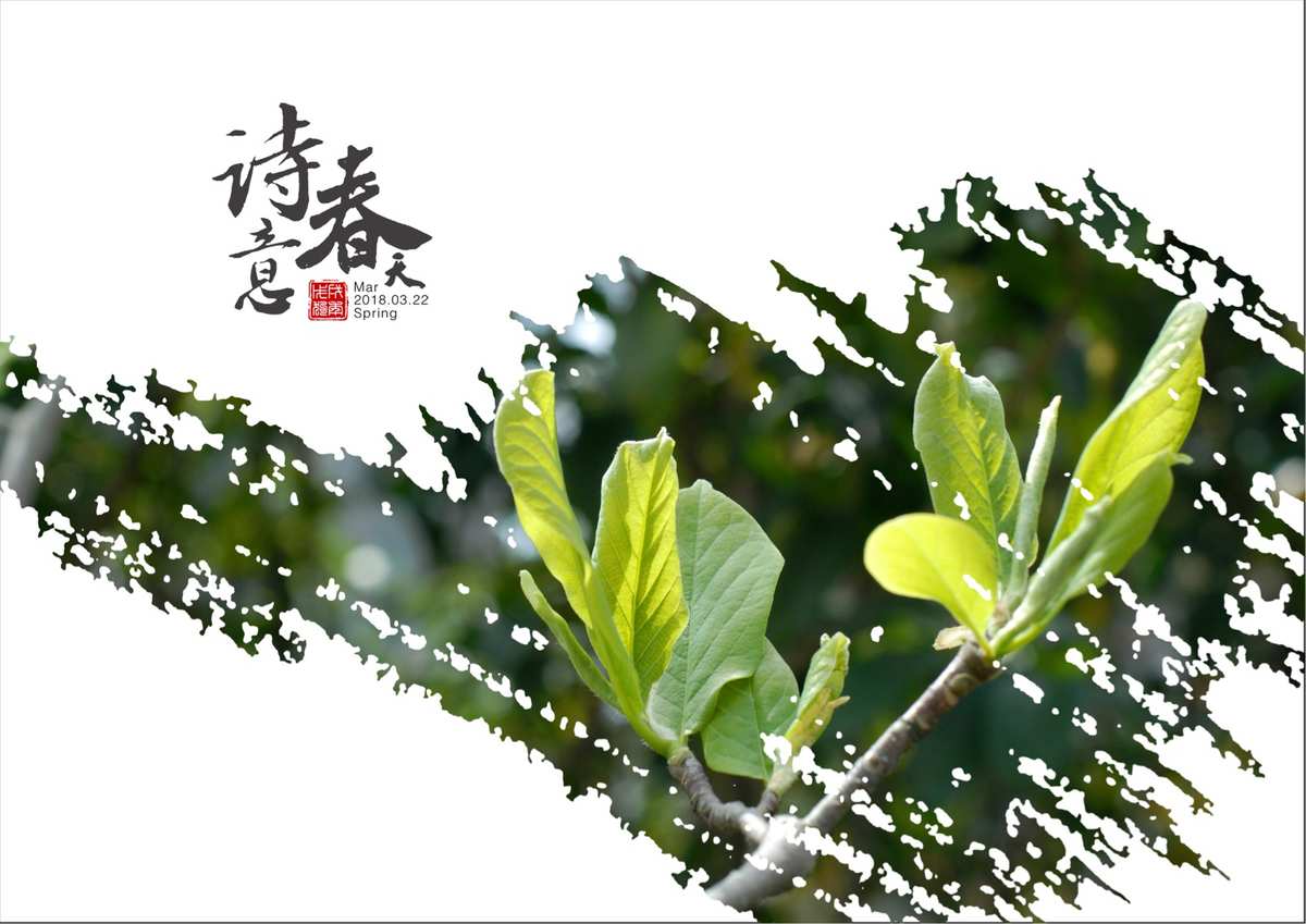 2022年3月23日_2024年是不是闰月年_哈尼十月年