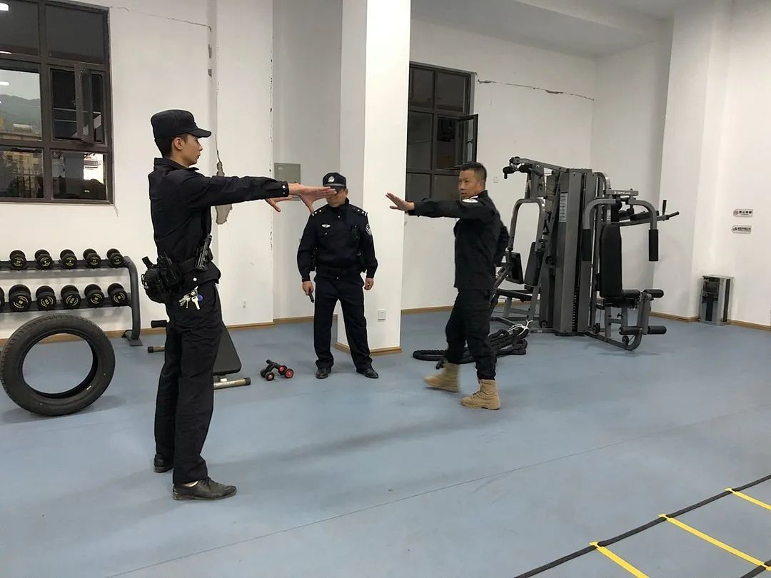 警察大型游戏手游_警察游戏安卓_警察免费的手机游戏有哪些