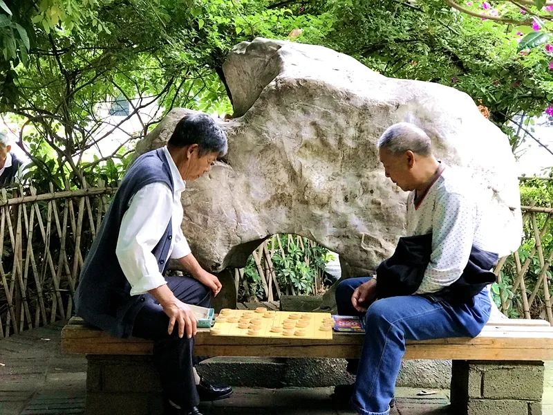 拿着手机和老头下棋的游戏_老头子下棋_老头下象棋搞笑视频
