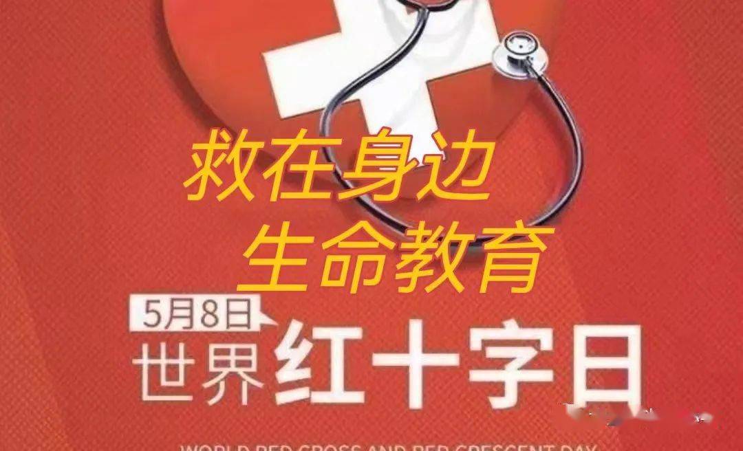 红十字的原则是什么_红十字七项基本原则有哪些_红十字的基本原则是