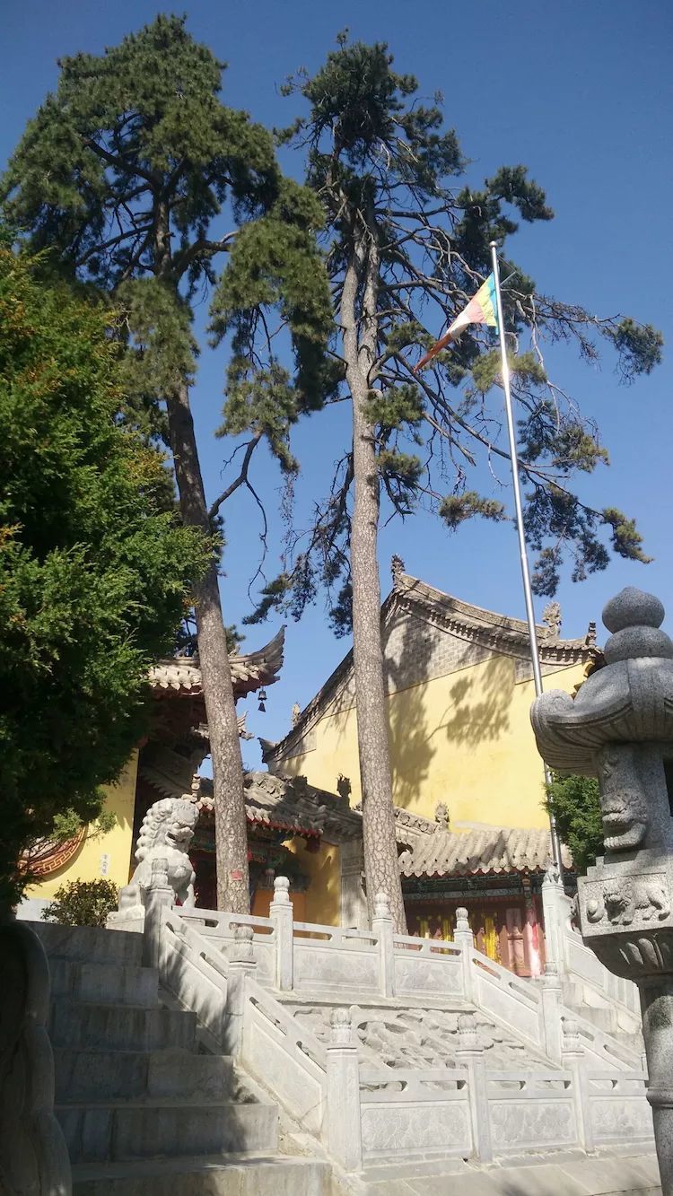 妙木山所有通灵兽_妙木山_妙木山滑雪场