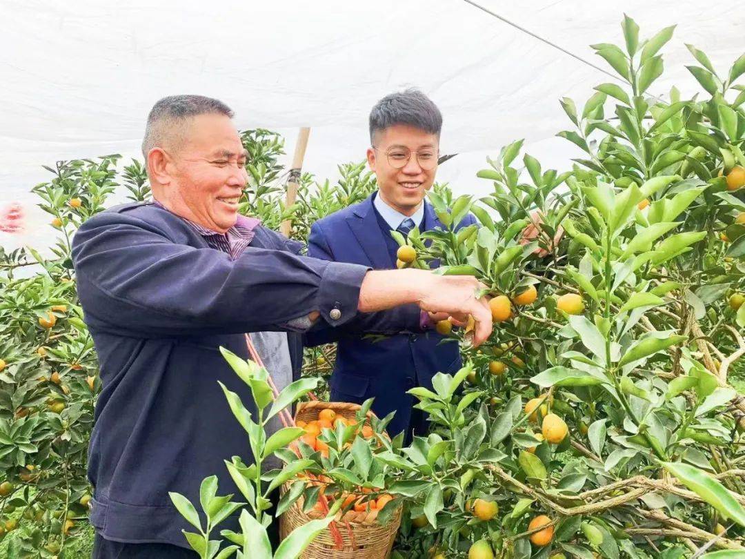 白月魁原名_白月魁传_白月魁结局