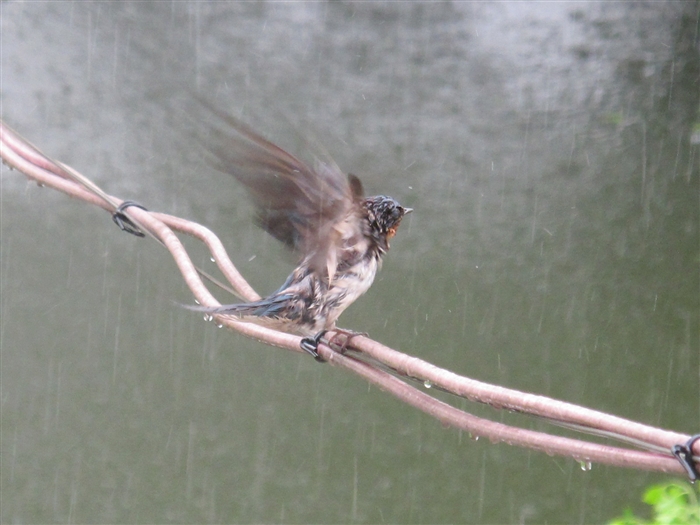 雨水是几月几日?_雨水是天空哭过的痕迹_雨水滴答滴滴答是什么歌