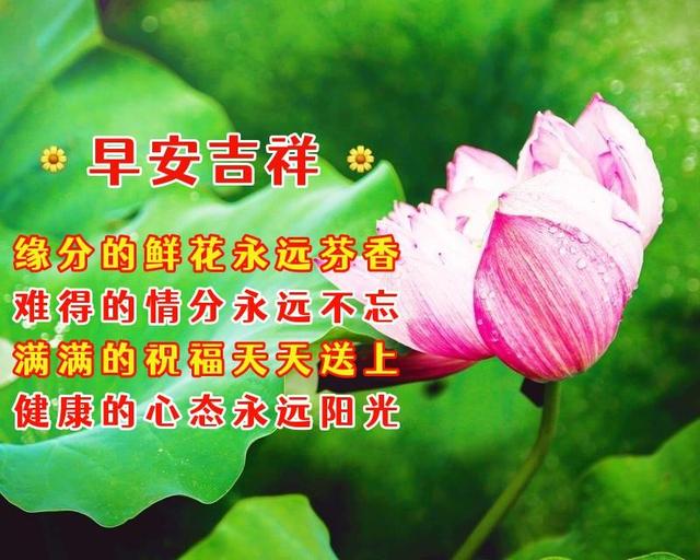 快玩游戏盒手机版下载_麦卡贡游戏下载手机版_qq飞车下载手机版游戏