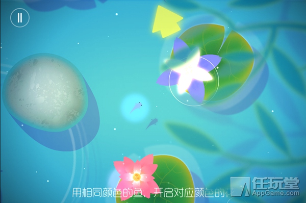 鲤鱼手机小游戏_鲤鱼游戏最新_鲤鱼玩的手机游戏