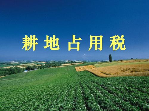 模拟生存经营游戏手机_模拟生存经营手机游戏大全_模拟生存经营手机游戏破解版
