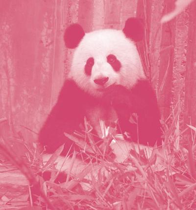 佐乌巨象_佐乌篇_佐乌