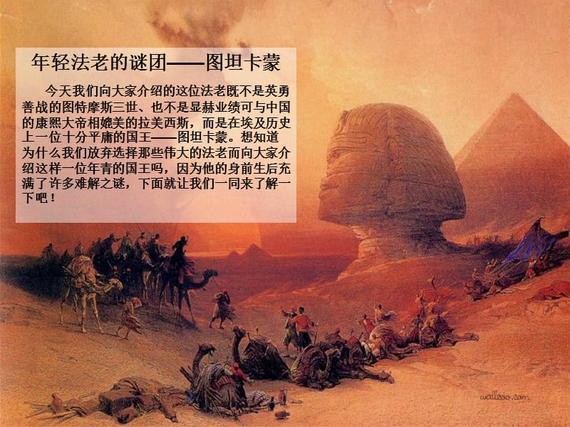 萨莫耶德语族_萨莫耶德狗_萨戮德