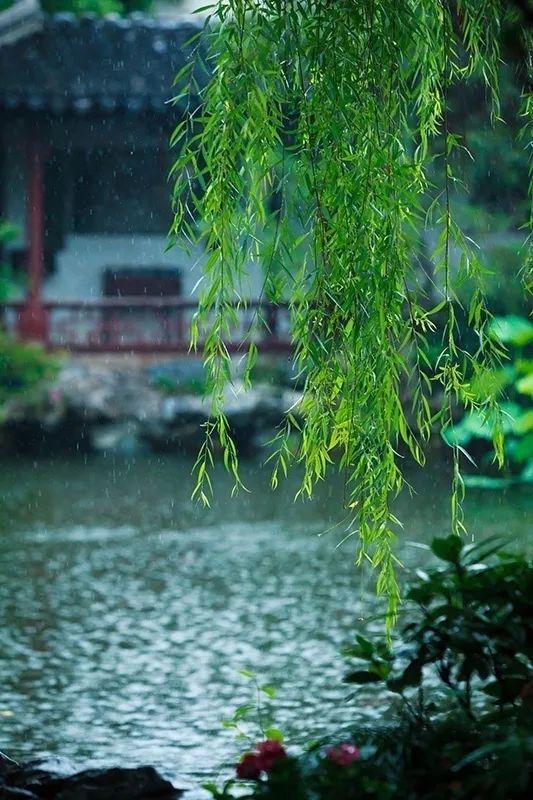 揭秘蝉女：神秘美丽背后的真相